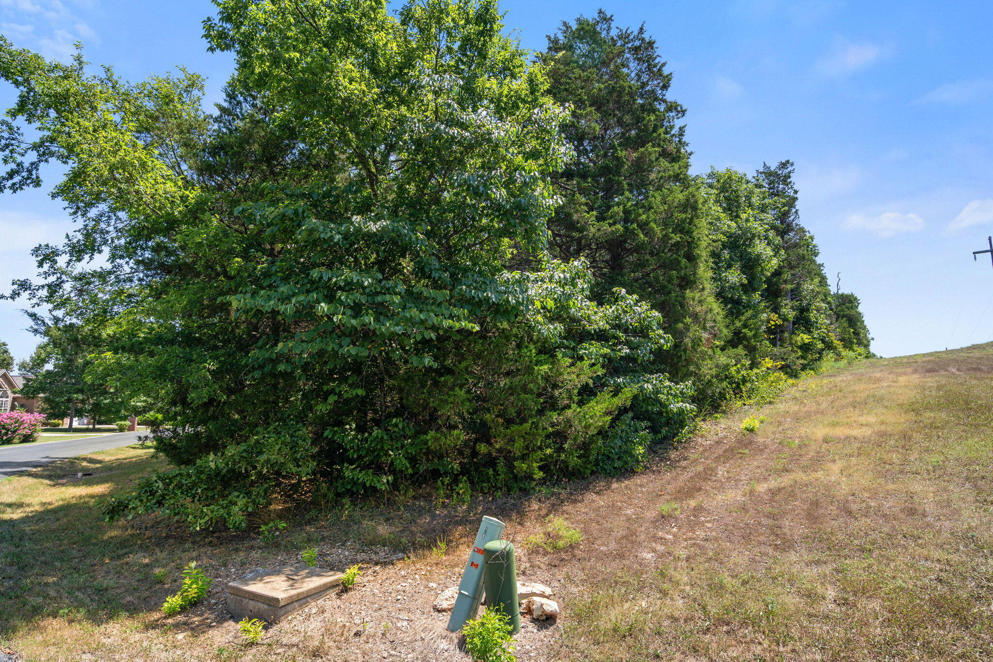 Lot 30 Crossing Drive Reeds Spring, MO 65737 - Photo 5 of 56 Lot-30-Crossing-Dr-Build-Your-Dream