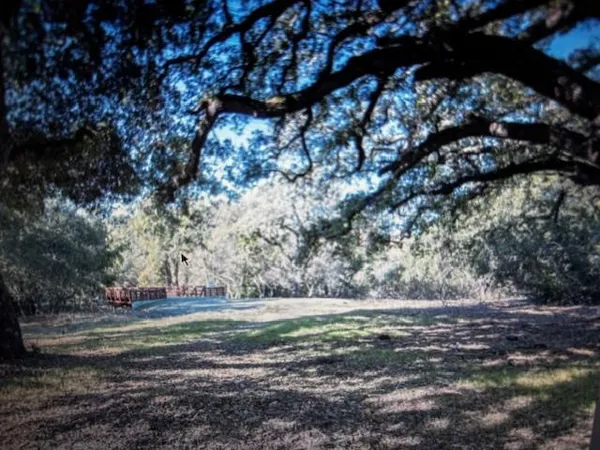 a view of dirt field with large trees