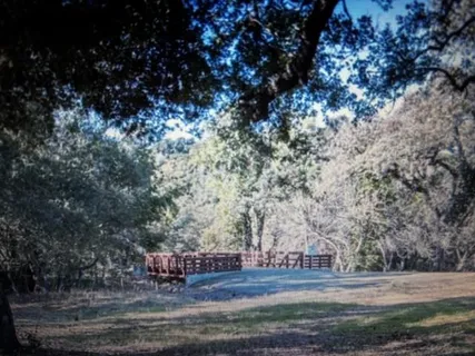 a view of outdoor space and yard