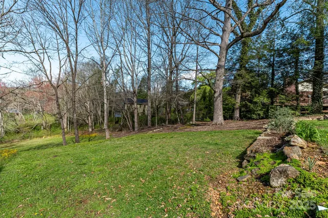 a view of a park with large trees