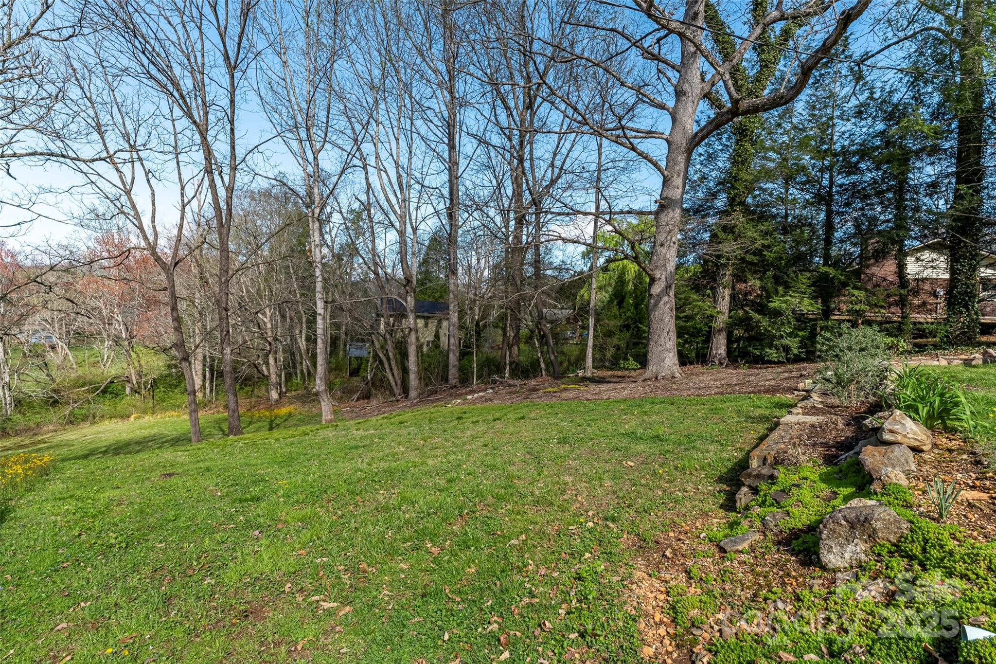 580 Maple Street Brevard, NC 28712 - Photo 6 of 28 a view of a park with large trees