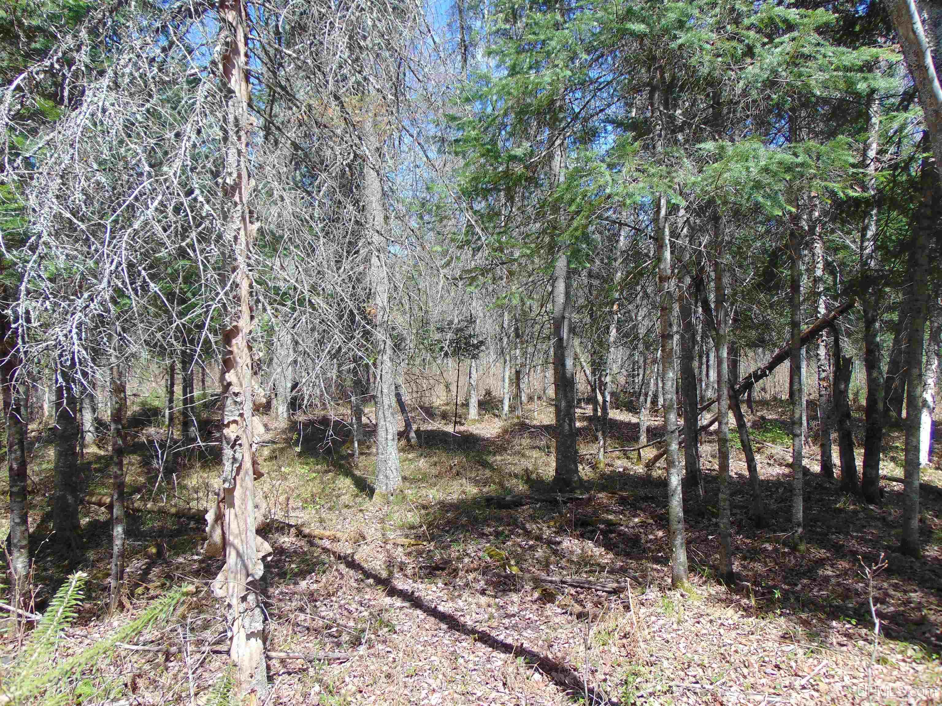 39 Sleepy Hollow Road Bruce Crossing, MI 49912 - Photo 22 of 24 Gallery Image 22