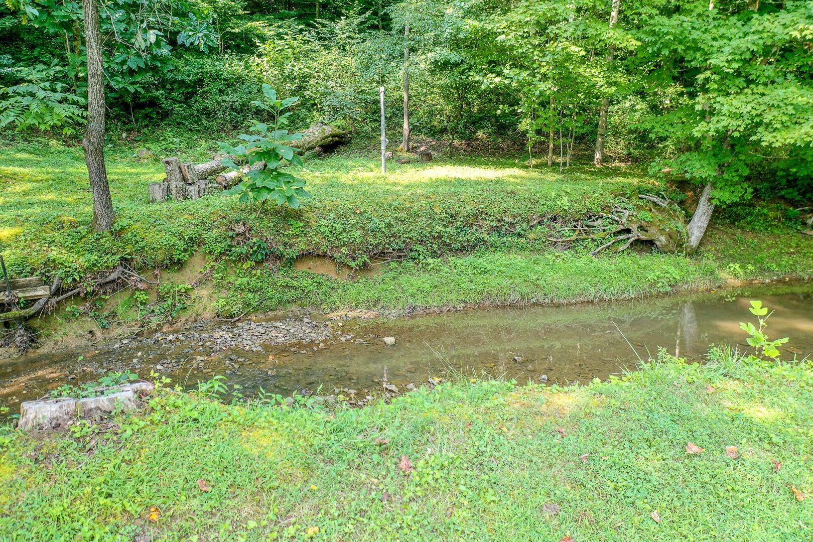 4450 Buffalo Road Oneida, TN 37841 - Photo 4 of 39 Gallery Image 4
