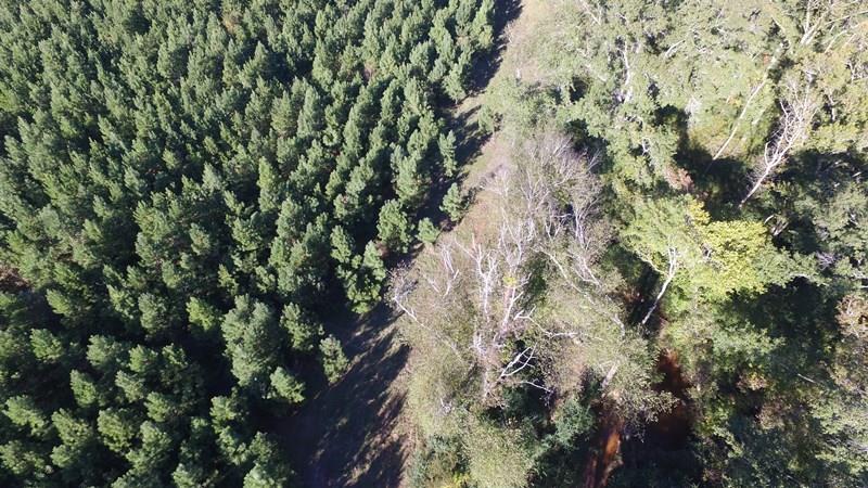 0 Jim Buddy Road Honea Path, SC 29654 - Photo 15 of 17