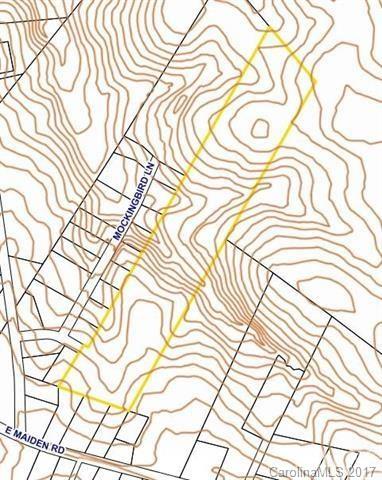20-acres Robinette Road Maiden, NC 28650 - Photo 3 of 5 Gallery Image 3