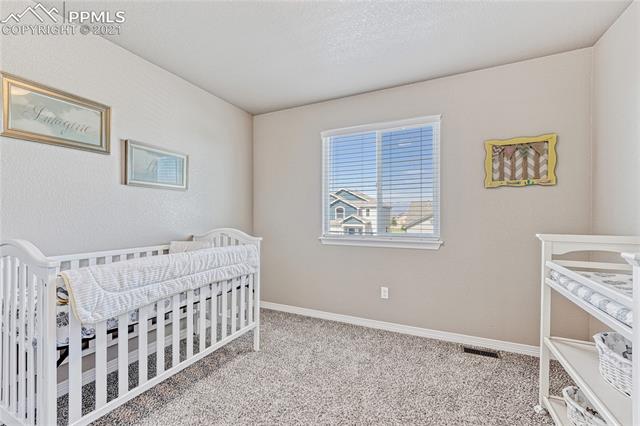 6071 Jorie Road Colorado Springs, CO 80927 - Photo 19 of 37