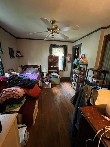 59 Eddy Street Springfield, MA 01104 - Photo 6 of 17 Gallery Image 6