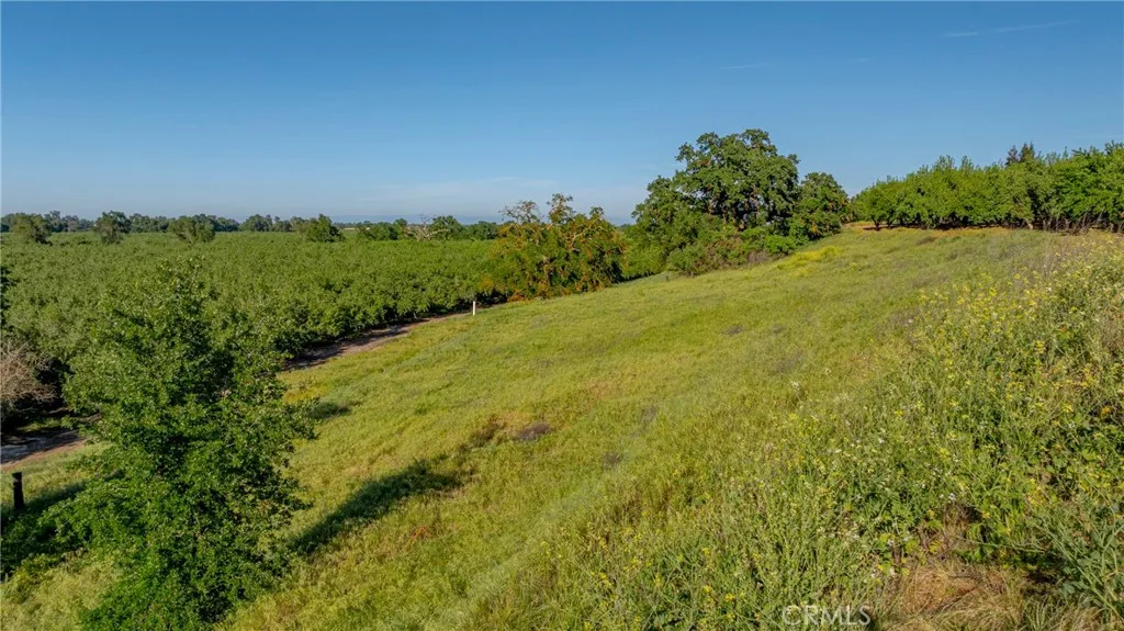 0 Livingston Cressey Road Livingston, CA 95334 - Photo 19 of 30 a view of a field with an ocean