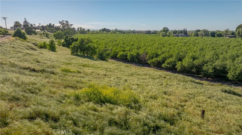 0 Livingston Cressey Road Livingston, CA 95334 - Photo 21 of 30 a view of a big yard with green space