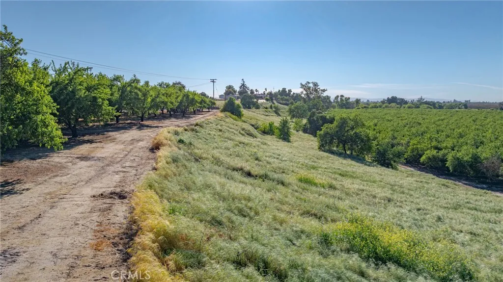 0 Livingston Cressey Road Livingston, CA 95334 - Photo 22 of 30 a view of a field with a tree in the background