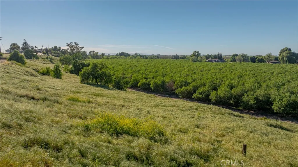 0 Livingston Cressey Road Livingston, CA 95334 - Photo 23 of 30 a view of a field with a tree in the background