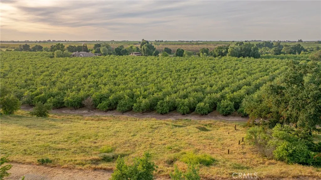 0 Livingston Cressey Road Livingston, CA 95334 - Photo 24 of 30 a view of a field with an ocean