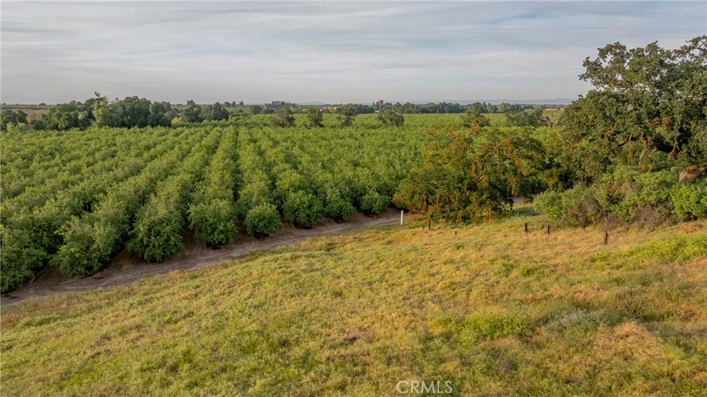 0 Livingston Cressey Road Livingston, CA 95334 - Photo 25 of 30 a view of a yard