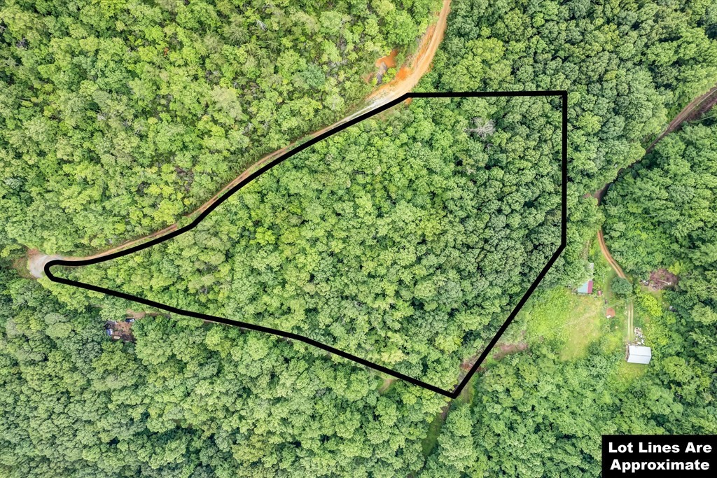 0 Green Forest Road Cosby, TN 37722 - Photo 13 of 35