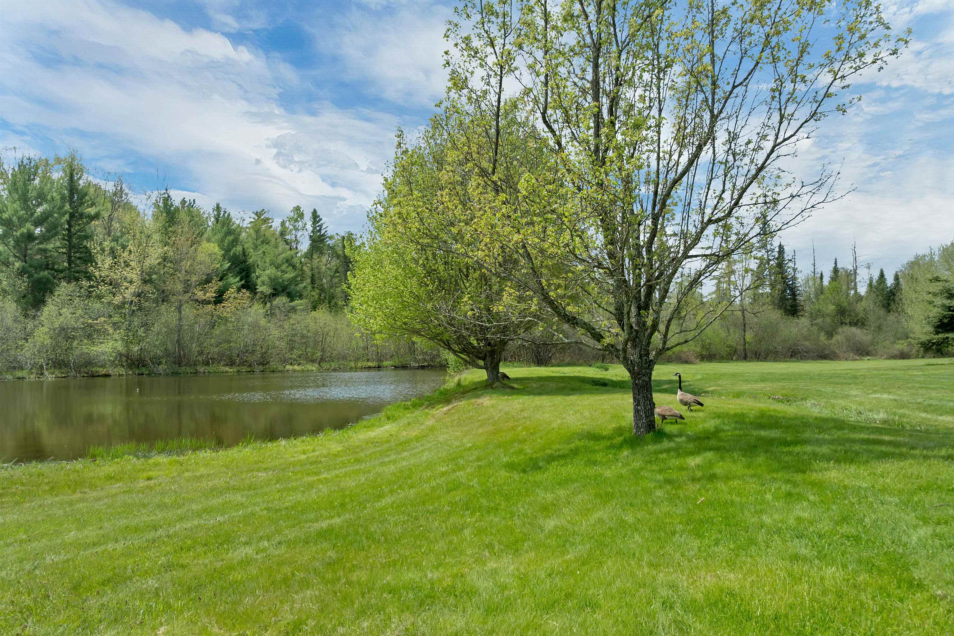 145 Turnpike Road Northfield, NH 03276 - Photo 23 of 58