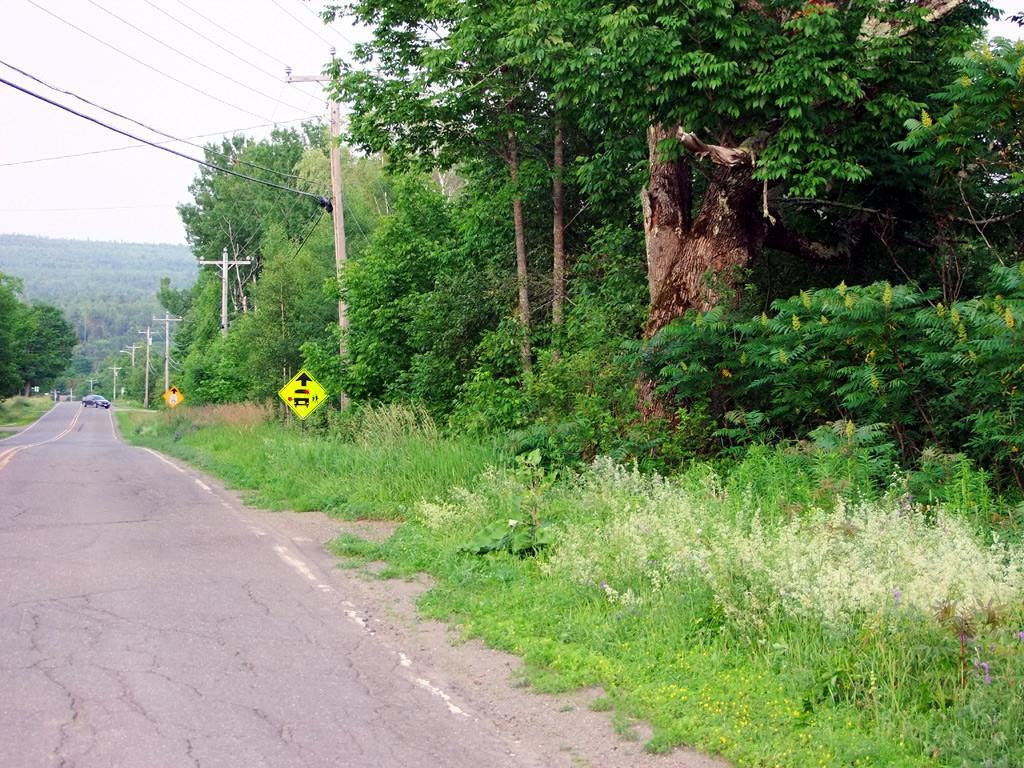 Lot 11 Rt 169 Route Danforth, ME 04424 - Photo 4 of 10 Photo