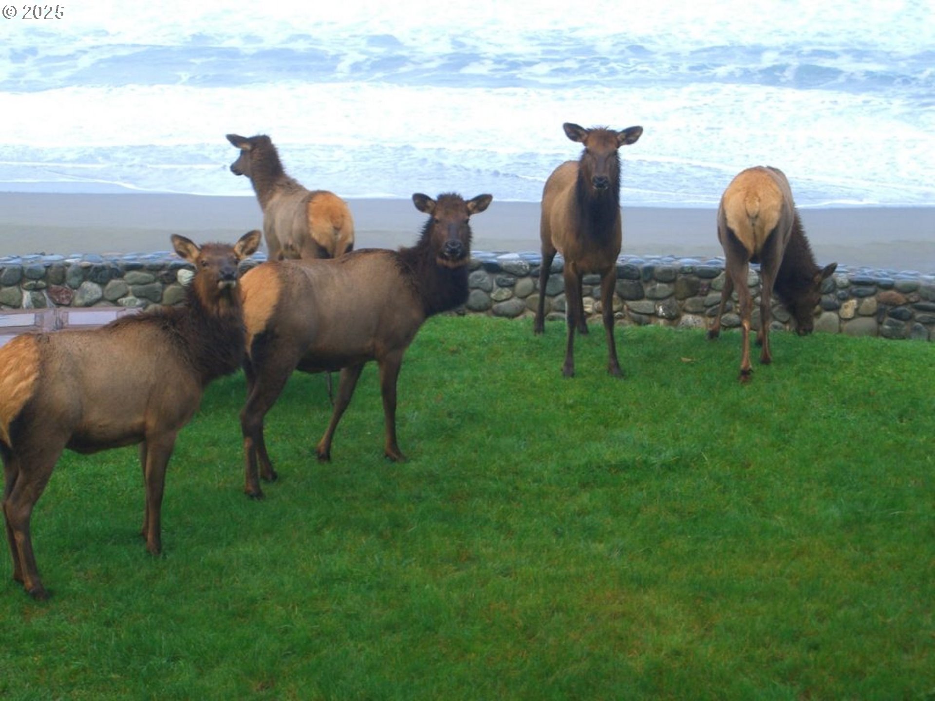 35400 Highway 101 Gold Beach, OR 97444 - Photo 32 of 46 a view of a lake and outdoor seating
