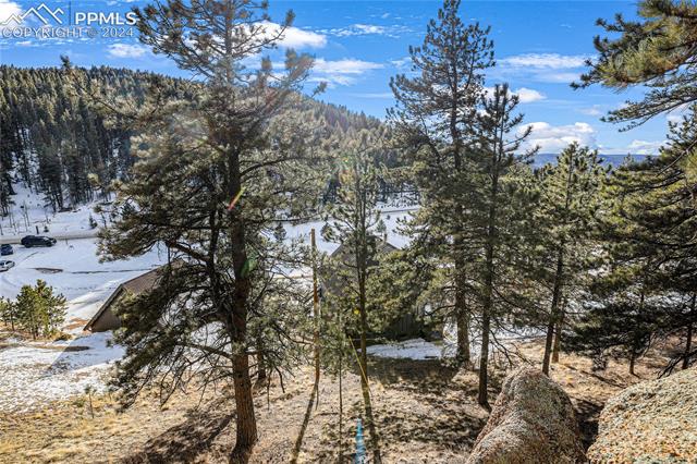 1891 Rampart Range Road Woodland Park, CO 80863 - Photo 16 of 50 Gallery Image 16
