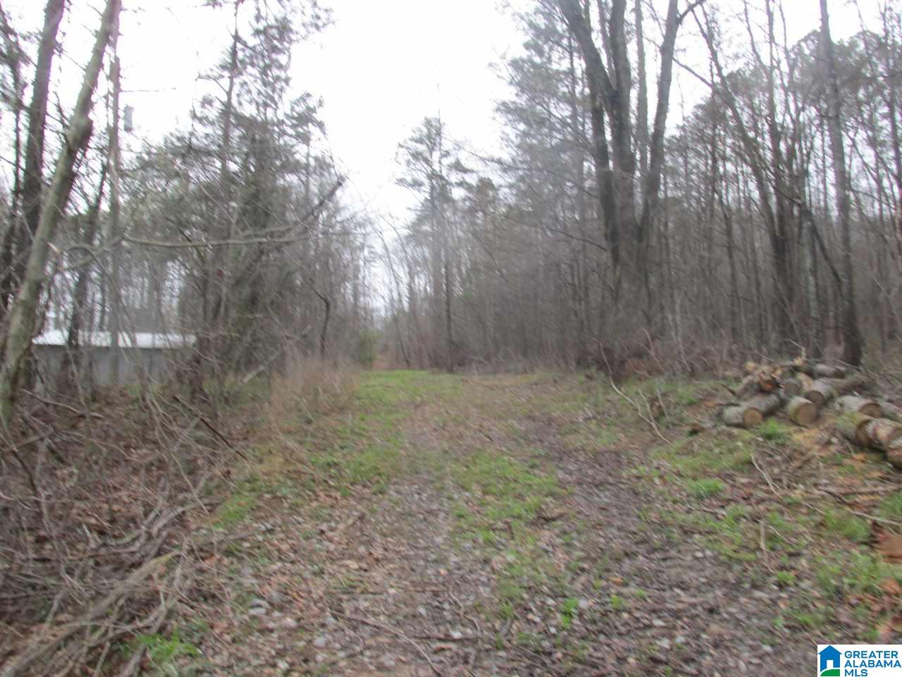 0 Wheeler Road, Unit 1 Blountsville, AL 35031 - Photo 6 of 6