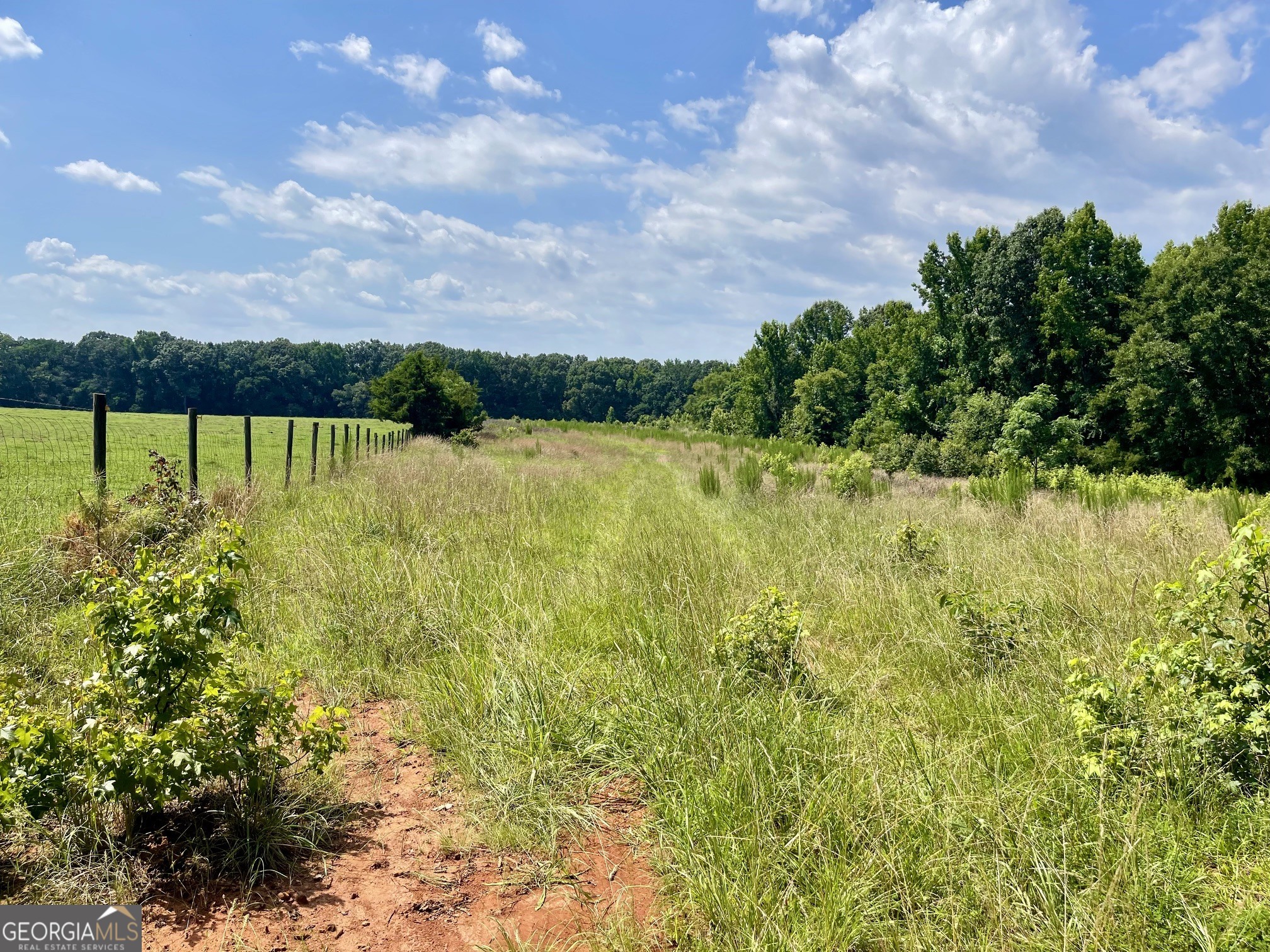 495 Bragg Road Monticello, GA 31064 - Photo 49 of 59