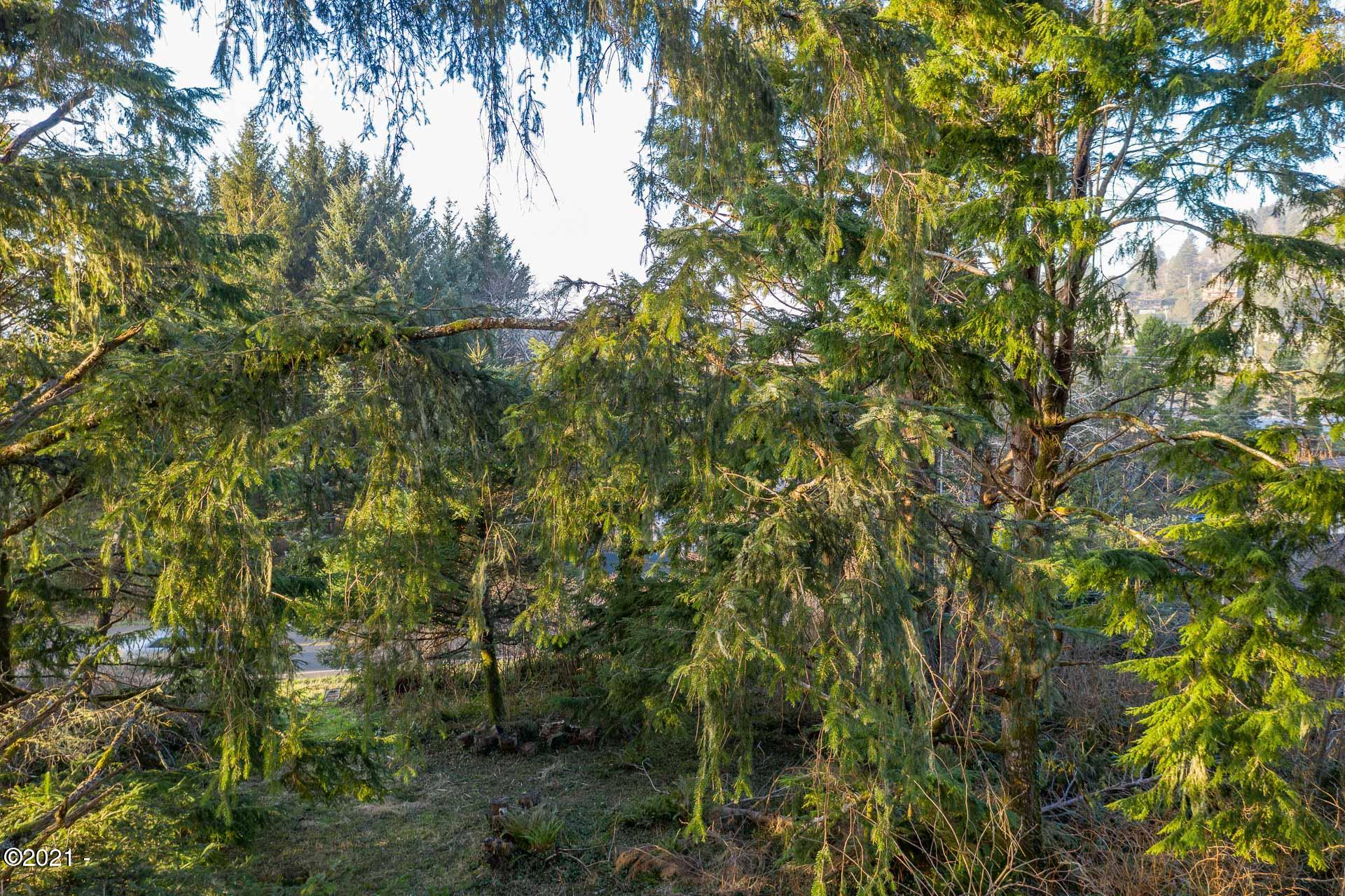 158 Highway 101 Yachats, OR 97498 - Photo 14 of 21 DJI_0402