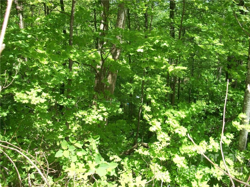 53 Wildcat Run, Unit 53 Maggie Valley, NC 28751 - Photo 1 of 9