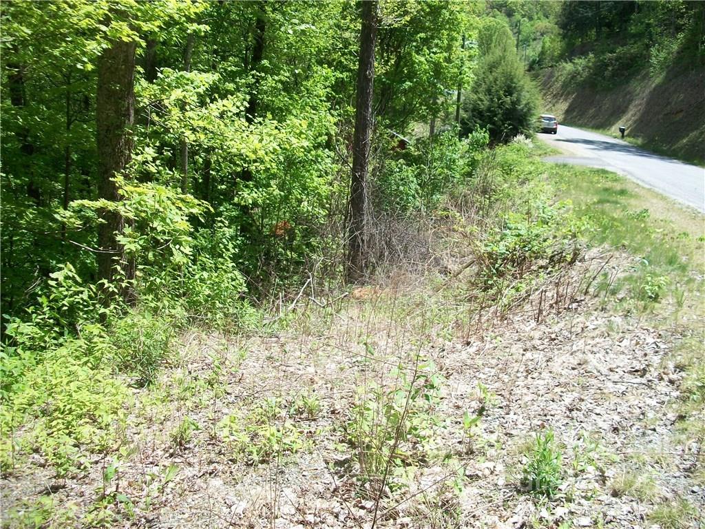 53 Wildcat Run, Unit 53 Maggie Valley, NC 28751 - Photo 2 of 9