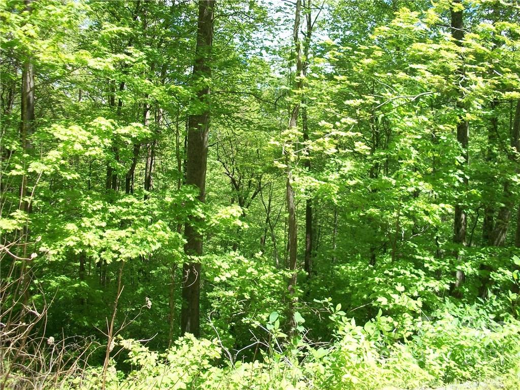 53 Wildcat Run, Unit 53 Maggie Valley, NC 28751 - Photo 3 of 9