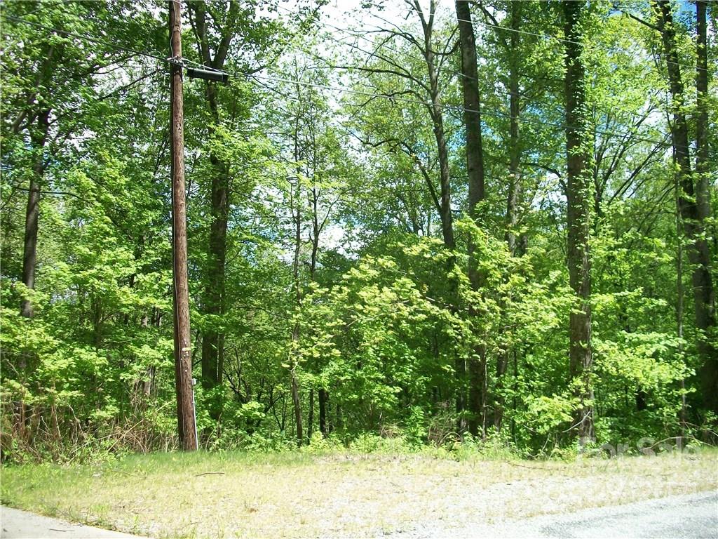 53 Wildcat Run, Unit 53 Maggie Valley, NC 28751 - Photo 6 of 9