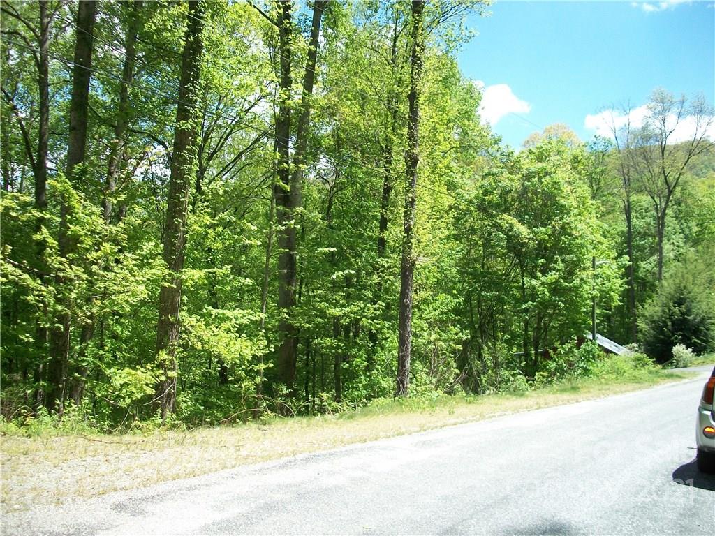 53 Wildcat Run, Unit 53 Maggie Valley, NC 28751 - Photo 7 of 9
