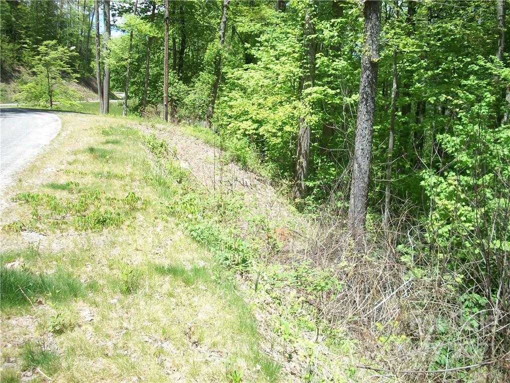 53 Wildcat Run, Unit 53 Maggie Valley, NC 28751 - Photo 8 of 9