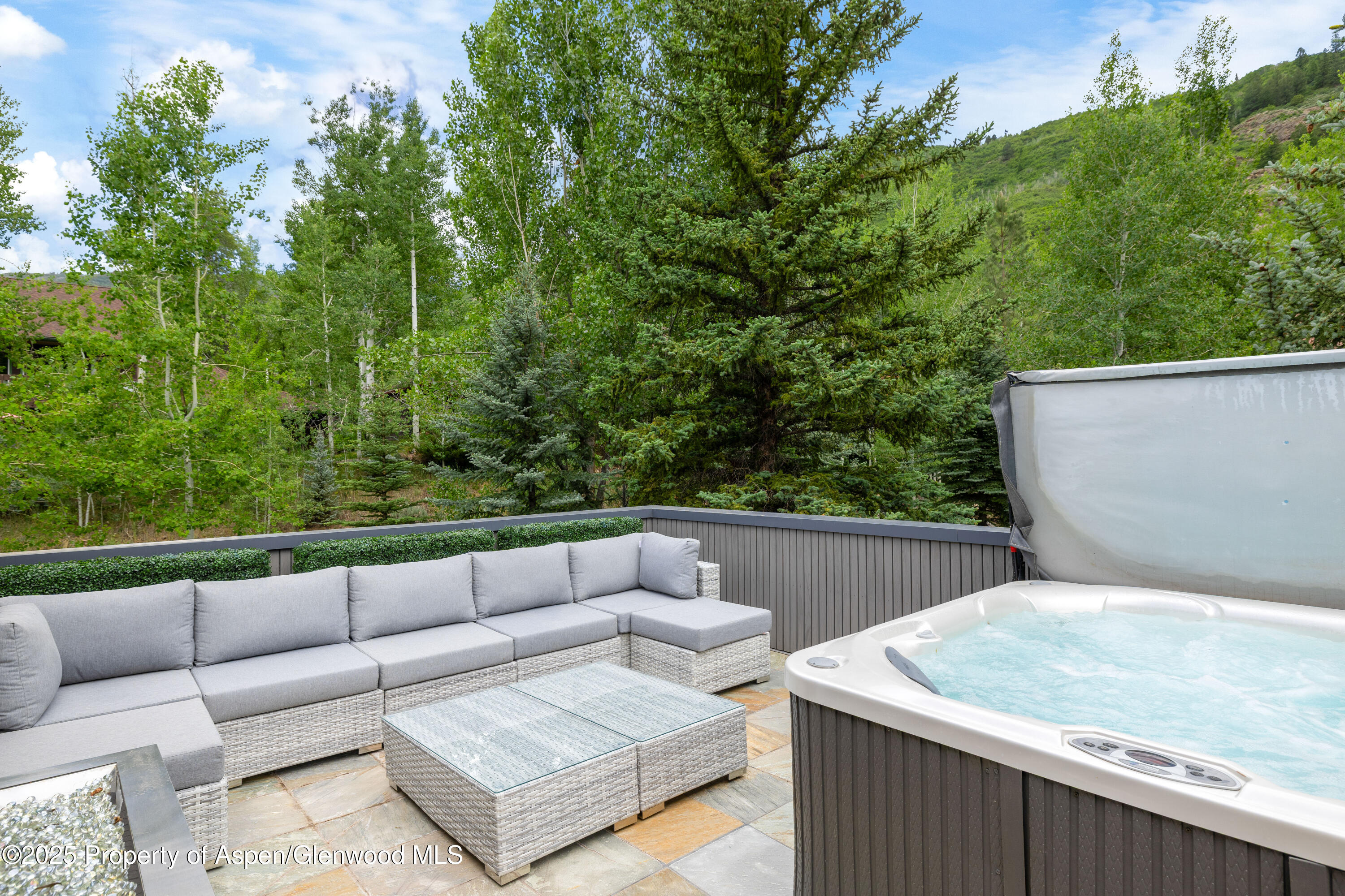 63 Smuggler Grove Aspen, CO 81611 - Photo 46 of 58 swimming pool view with a seating space
