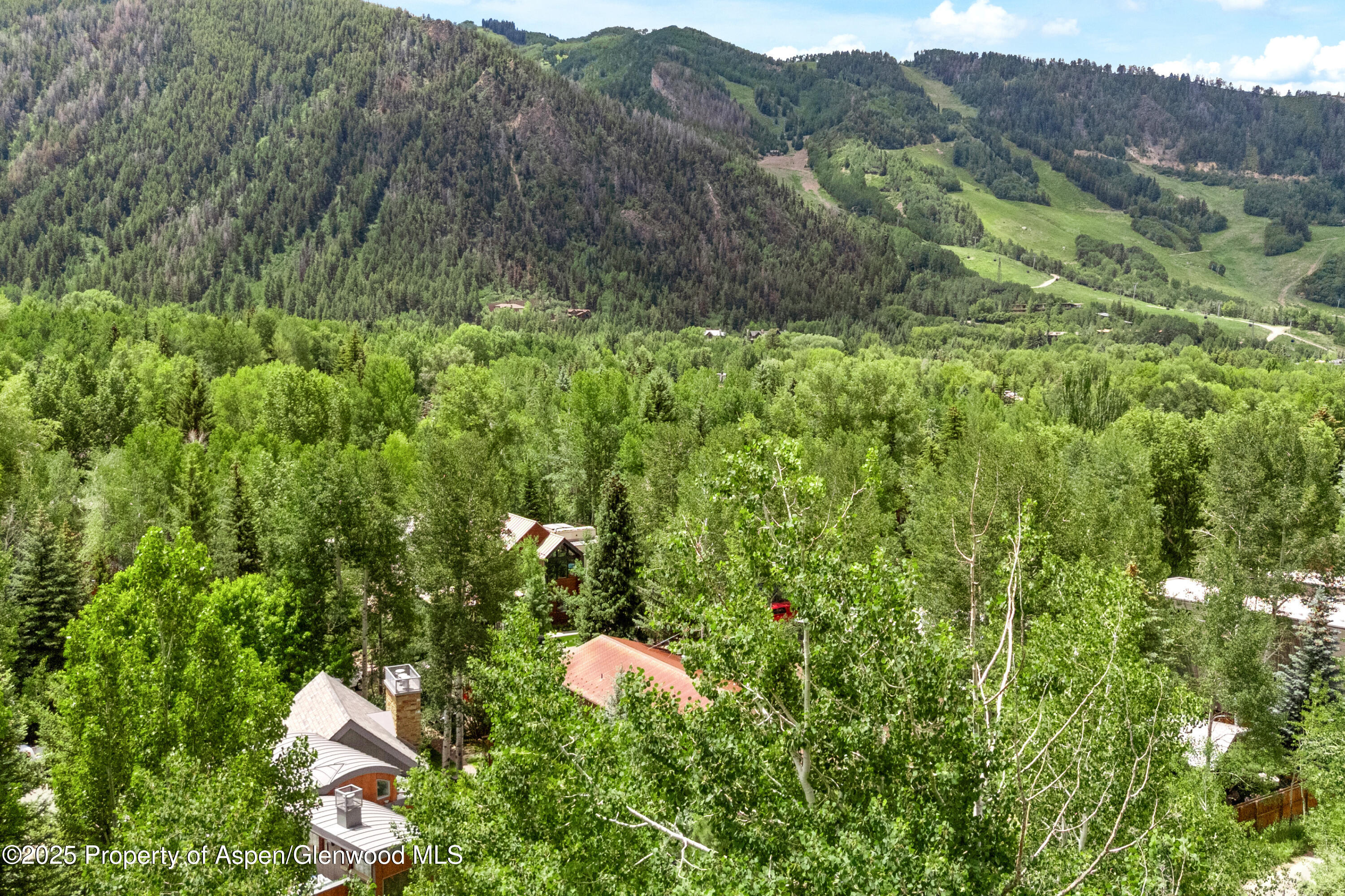 63 Smuggler Grove Aspen, CO 81611 - Photo 54 of 58 a view of a house with a lush green forest