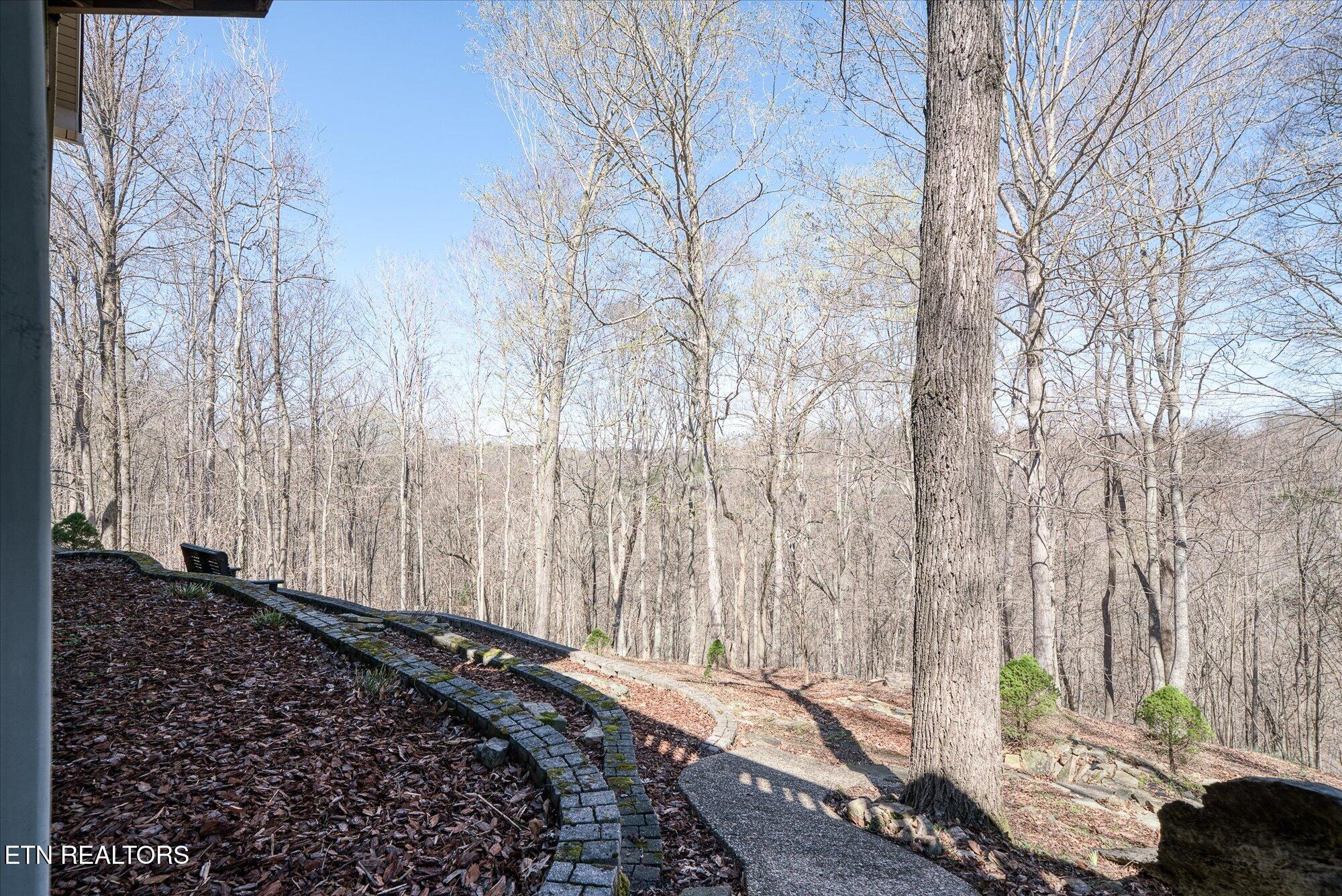 566 Mallard Pointe Road Byrdstown, TN 38549 - Photo 51 of 57 56-566 Mallard Pointe Dr_TNPC_320
