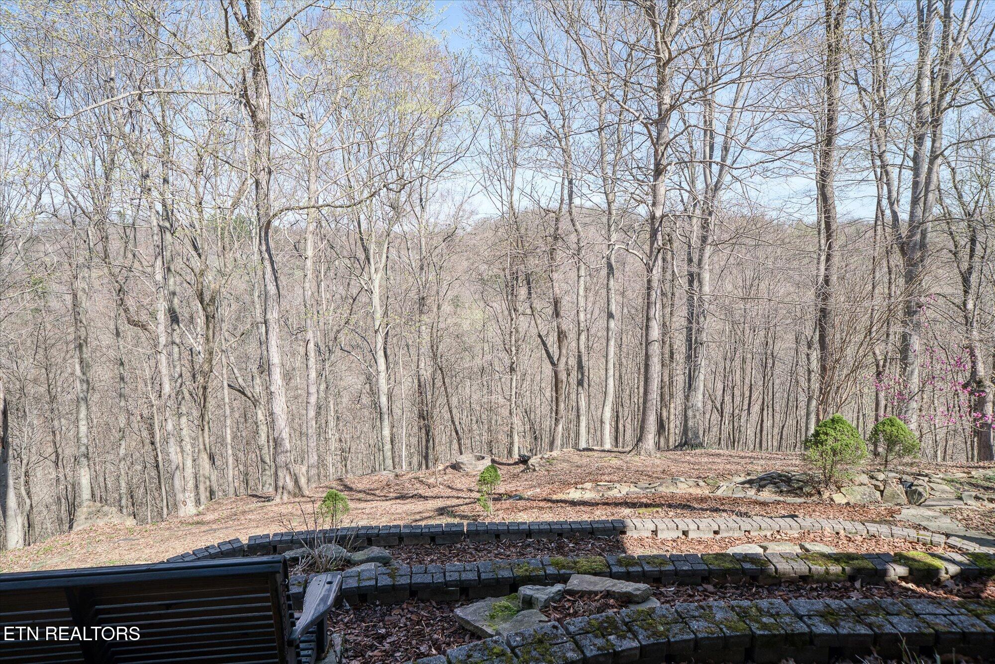 566 Mallard Pointe Road Byrdstown, TN 38549 - Photo 52 of 57 57-566 Mallard Pointe Dr_TNPC_325