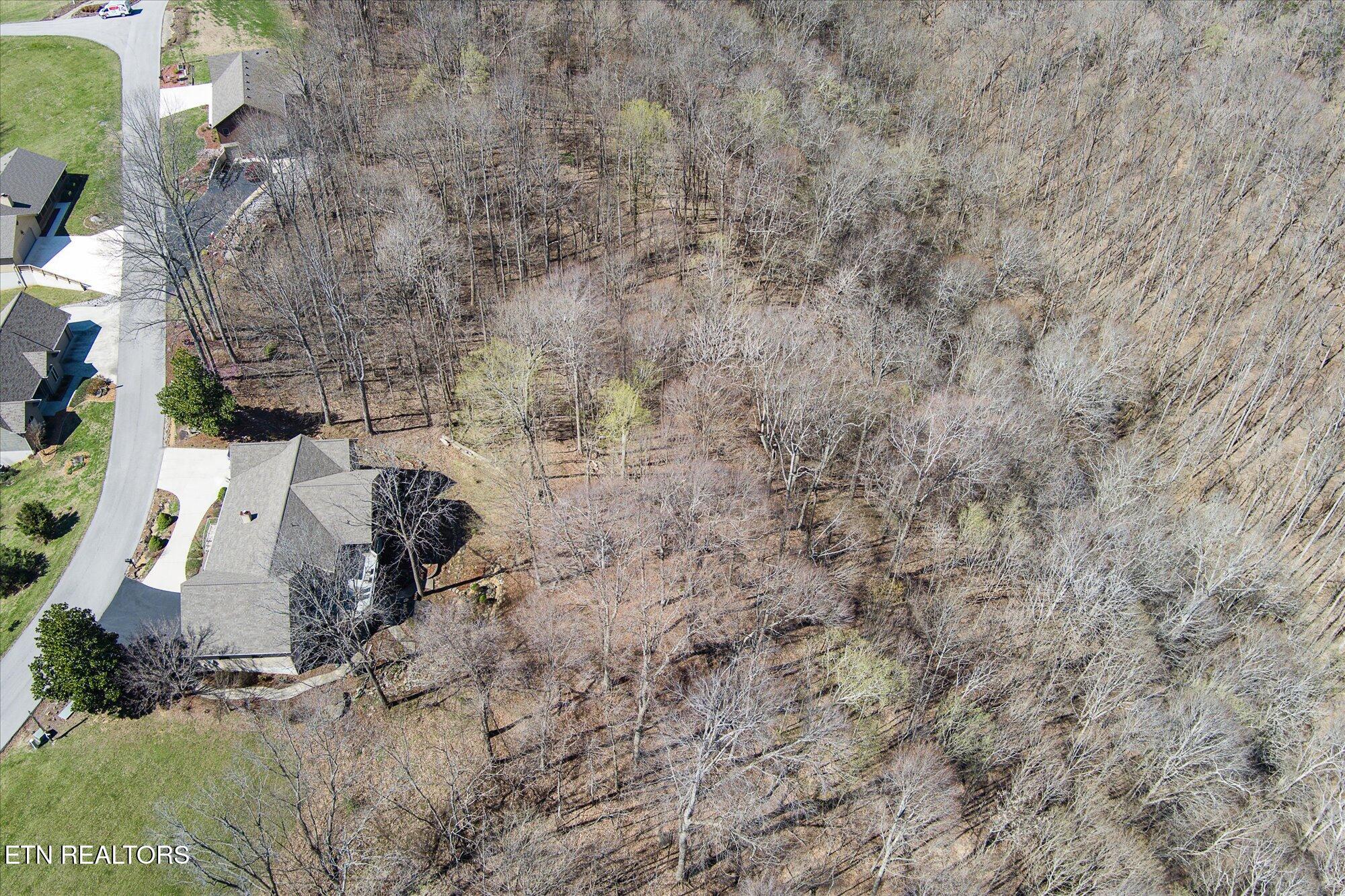 566 Mallard Pointe Road Byrdstown, TN 38549 - Photo 56 of 57 17-566 Mallard Pointe Dr_TNPC_115-Edit