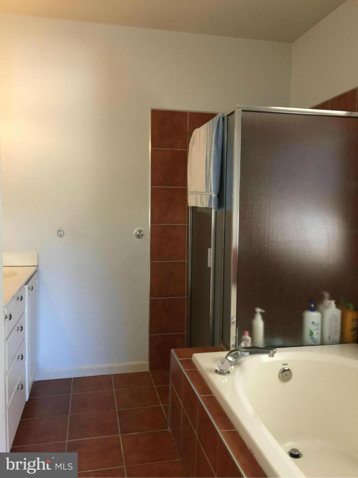 2807 Hillsdale Road Baltimore, MD 21207 - Photo 17 of 26 Bath (Master)