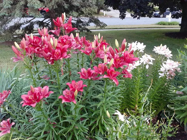 $500,000 | 1703 Cumberland Court, Waunakee, WI 53597