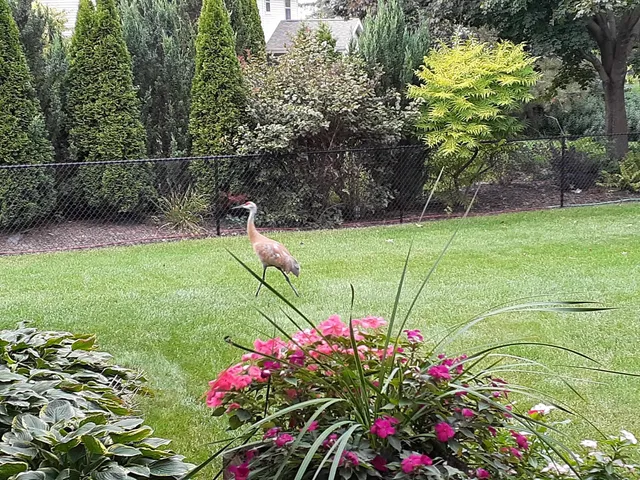 $500,000 | 1703 Cumberland Court, Waunakee, WI 53597