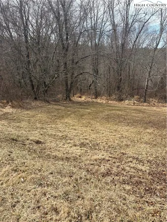 a view of a yard with trees