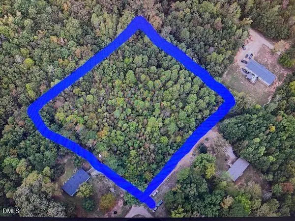 a view of a forest with trees