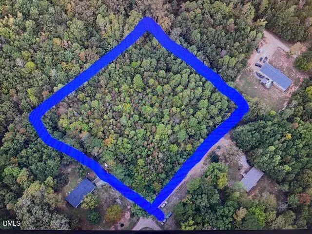 a view of a forest with trees