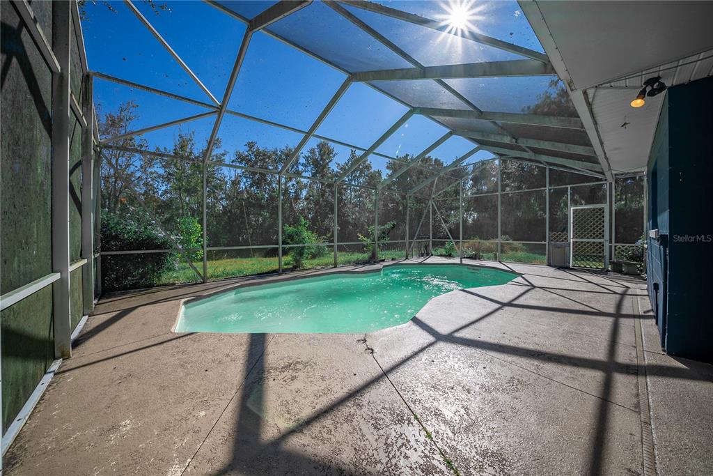 1740 Southeast 164th Circle Ocklawaha, FL 32179 - Photo 35 of 48