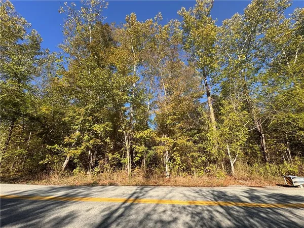 $4,300 | 0 Narrows Road, East Millsboro, PA 15433