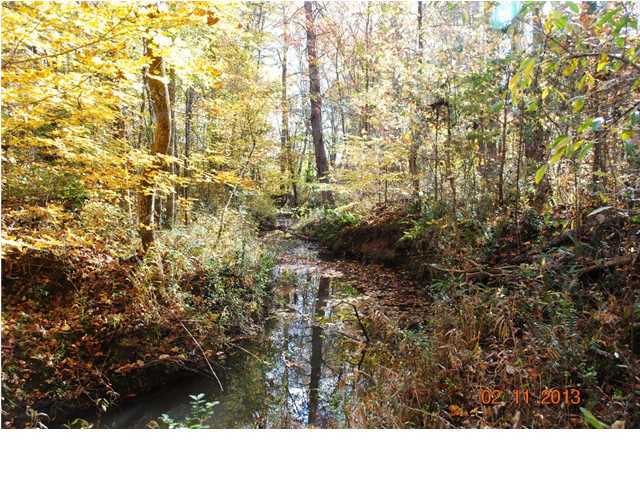 3501 Cove Road Chickamauga, GA 30707 - Photo 1 of 24 Primary Photo