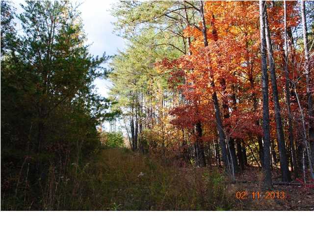 3501 Cove Road Chickamauga, GA 30707 - Photo 11 of 24 Additional Photo
