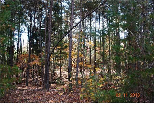 3501 Cove Road Chickamauga, GA 30707 - Photo 12 of 24 Additional Photo