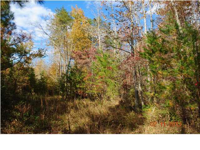 3501 Cove Road Chickamauga, GA 30707 - Photo 20 of 24 Additional Photo