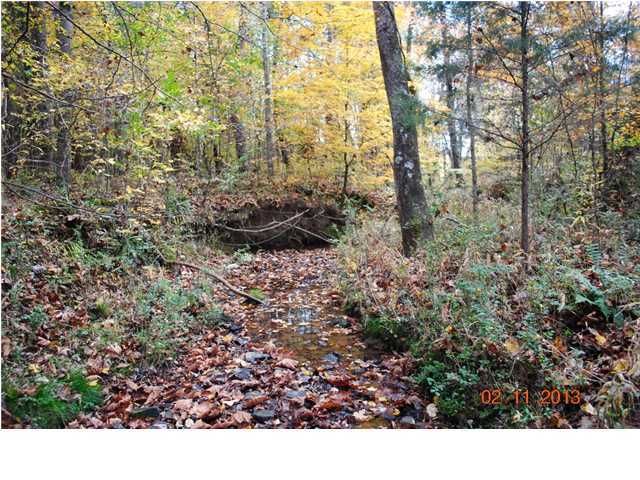 3501 Cove Road Chickamauga, GA 30707 - Photo 22 of 24 Additional Photo