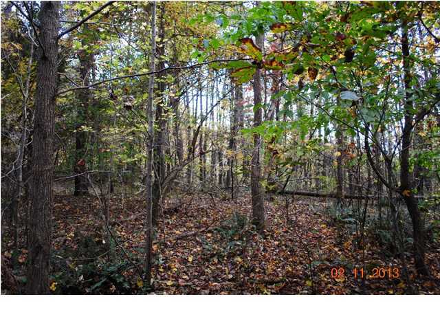 3501 Cove Road Chickamauga, GA 30707 - Photo 23 of 24 Additional Photo